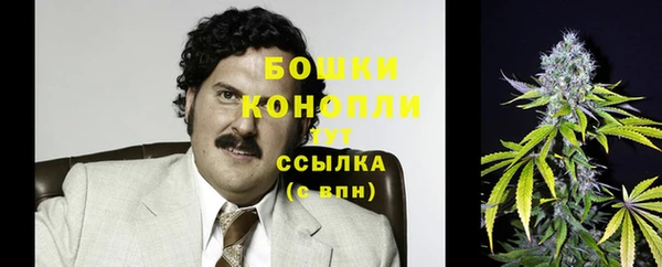 гидропоника Белокуриха