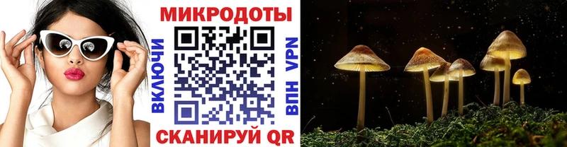 Псилоцибиновые грибы прущие грибы Мезень